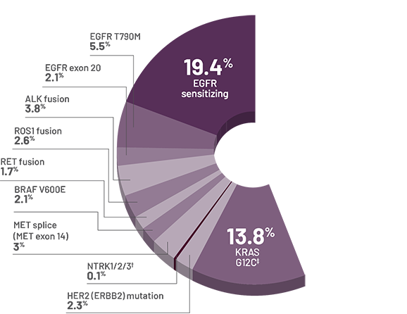 FLAURA2 Mutations in Patients with mNSCLC Pie Chart