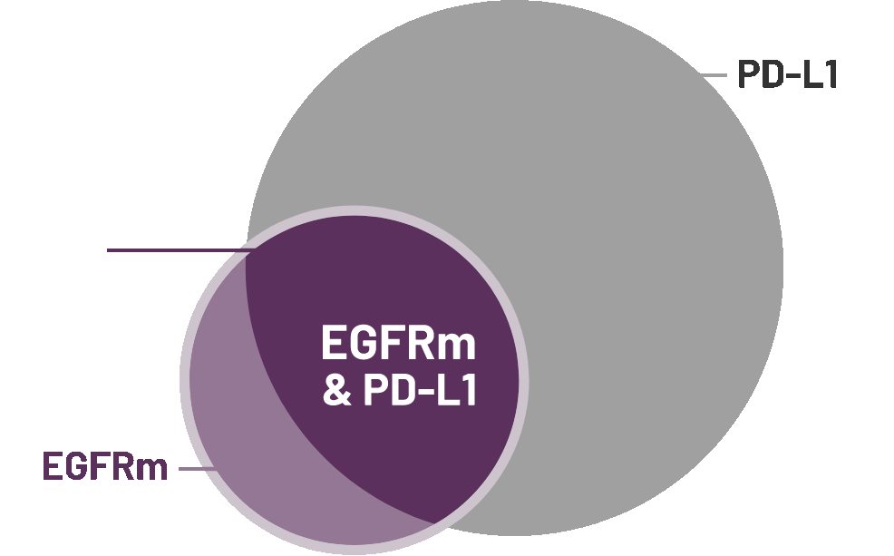 Overlap of EGFR Mutations