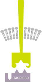TAGRISSO Wild Type EGFR