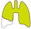 Resectable lung icon