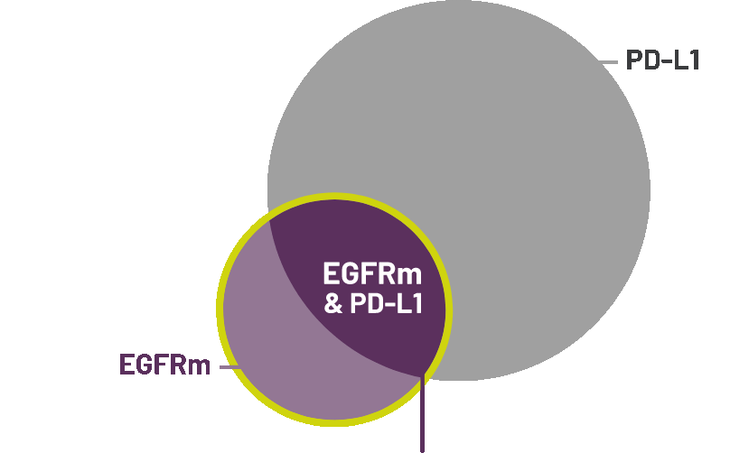 Overlap Of EGFR Mutations and PD-LI Expression Graph