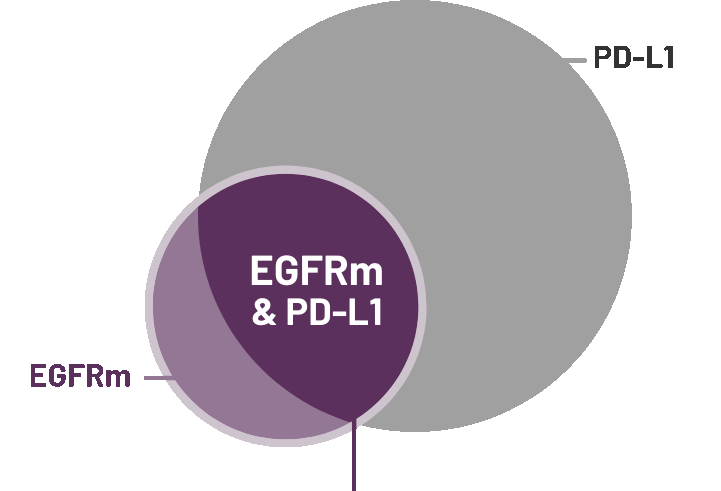 EGFRM PD-L1 Ovelap Graph
